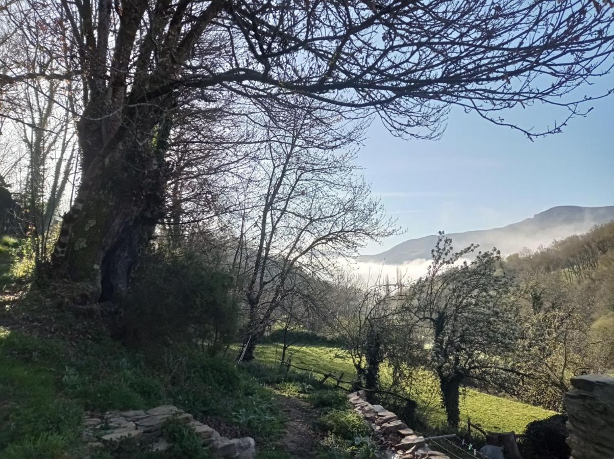Albergue Eco El Beso - Vegano Triacastela Exterior foto